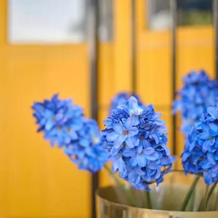 بيت للعطل Casa Helena Town House Mijas Golf *